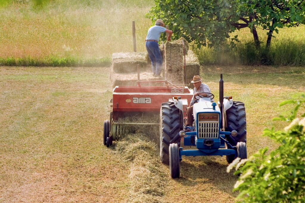 agriculture, hay, field-5157184.jpg